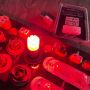 Светодиодная лампа CarProfi S25 (1156) RED 25SMD, Active Light series, 12V, красное свечение (блистер 2 шт.)